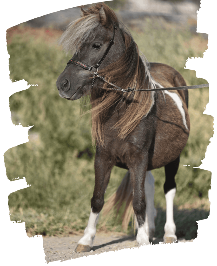 beige orange brush mountain presentation (5) fotor 20251030234740 (1) (1)