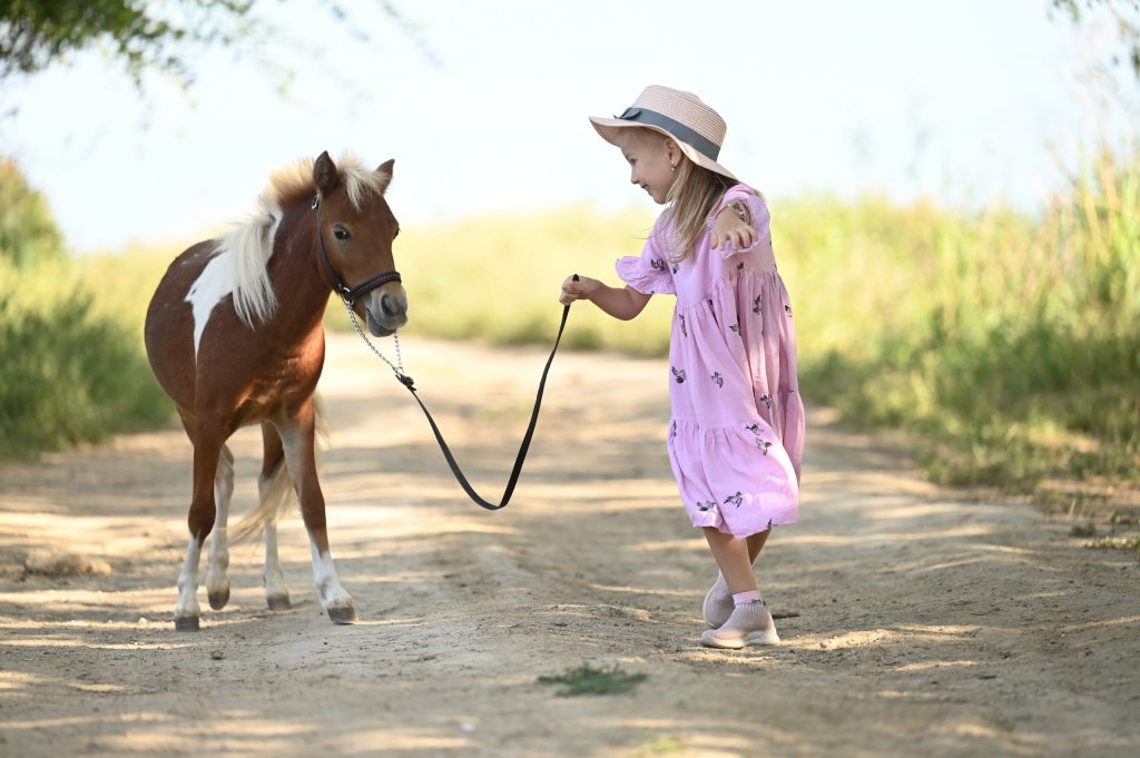 photo 5215616385579876343 w