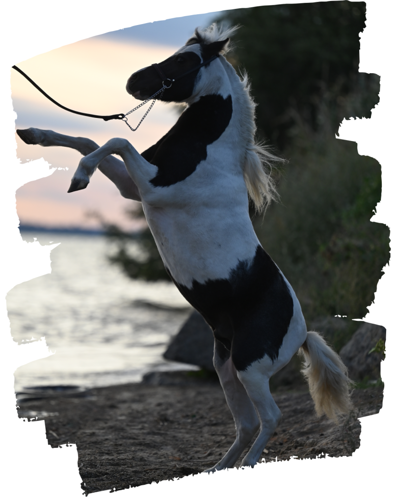 beige orange brush mountain presentation (6)